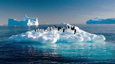 Nguy cơ băng ở Bắc Băng Dương biến mất sớm hơn dự báo