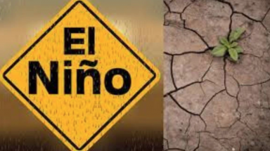 Dấu hiệu El Nino ở Thái Bình Dương, nhiệt độ toàn cầu có thể tăng kỷ lục