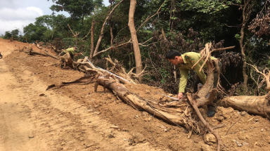  Vụ phá rừng mở đường ở Quảng Ngãi: Tập đoàn Đèo Cả có liên quan?