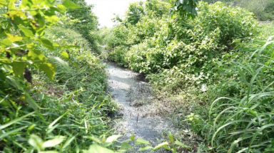  Tây Ninh: Bức xúc vì ô nhiễm môi trường do nước thải và khói bụi kép dài