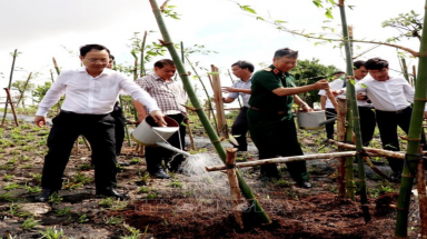  Cần Thơ tiếp nhận và trồng 270 cây tre tại đền thờ Vua Hùng
