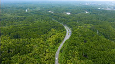  Bốn tiêu chí triển vọng giúp rừng phòng hộ Cần Giờ thành khu Ramsar