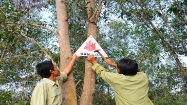 Chủ động bảo vệ rừng, phòng chống cháy rừng mùa khô 2023 - 2024