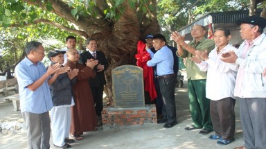 Bốn cây cổ thụ trên 200 năm của Ninh Bình được công nhận Cây Di sản Việt Nam