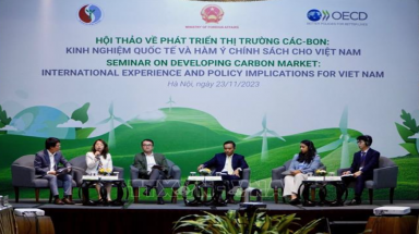 Việt Nam thúc đẩy hợp tác quốc tế trong phát triển thị trường carbon