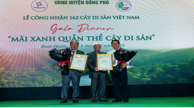  Đoàn đại biểu của Hội BVTN&MT Việt Nam tham  dự Gala “Mãi Xanh Quần thể Cây Di sản” 
