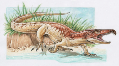 Phát hiện "quái vật Tây Bengal" giống T-rex lai cá sấu