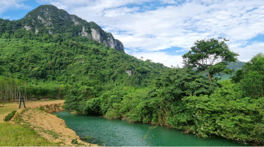  Việt Nam thu nghìn tỷ đồng từ bán tín chỉ carbon